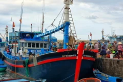 Tàu khai thác xa bờ cập cảng cá Mỹ Tân, xã Thanh Hải, huyện Ninh Hải, tỉnh Ninh Thuận, bốc dỡ hải sản. (Ảnh: Nguyễn Thành/TTXVN)