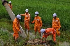 Phỏng vấn đại diện Điện lực Đông Triều, tỉnh Quảng Ninh, về công tác khắc phục sự cố điện sau bão số 3. (Ảnh: Lê Phương/TTXVN)