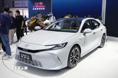(Ảnh minh họa: TTXVN)