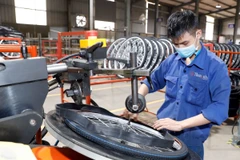 Công ty xe đạp Thống Nhất sản xuất xe đạp tiêu thụ thị trường trong nước và xuất khẩu. (Ảnh: Trần Việt/TTXVN)