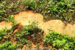 Vết nứt lớn của cung trượt tại khu vực dốc Đỏ, khối 20/7, thị trấn Tuần Giáo, huyện Tuần Giáo, tỉnh Điện Biên. (Ảnh: TTXVN phát)