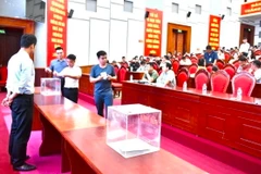 Phiên đấu giá 51 thửa đất tại xã Liên Mạc, huyện Mê Linh, Hà Nội ngày 28/6 vừa qua. (Ảnh: TTXVN phát)