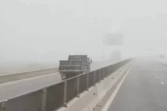 Chiếc xe tải biển kiểm soát 37C-113.90 chạy ngược chiều trên cao tốc. (Ảnh cắt từ clip)