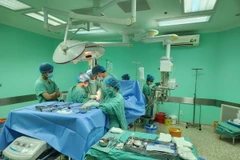 (Ảnh minh họa: Mai Trang/TTXVN)