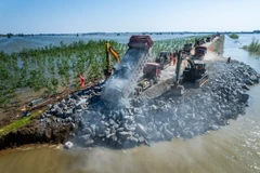 Lực lượng cứu hộ làm việc tại hiện trường vụ vỡ đê hồ Động Đình ở tỉnh Hồ Nam, miền Trung Trung Quốc ngày 6/7 vừa qua. (Ảnh: THX/TTXVN)