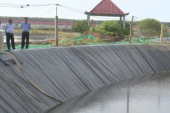 Ông Nguyễn Minh Lâm, Phó Chủ tịch UBND tỉnh Long An (thứ 2 phải sang) kiểm tra nuôi tôm thẻ chân trắng vùng Đồng Tháp Mười, tỉnh Long An. (Ảnh: Thanh Bình/TTXVN)