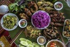 Khám phá du lịch kết hợp nuôi cá lồng ở vùng hồ Hòa Bình 