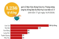 Đã hỗ trợ 1.035 tỷ đồng cho các địa phương bị thiệt hại do bão lũ