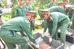 Nghi thức hạ quan hài cốt các liệt sỹ. (Ảnh: Nguyên Dung/TTXVN)