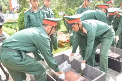 Nghi thức hạ quan hài cốt các liệt sỹ. (Ảnh: Nguyên Dung/TTXVN)