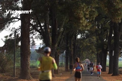 Một cung đường tuyệt đẹp tại Tiền Phong Marathon 2021. (Ảnh: Lâm Phan/Vietnam+) 