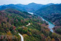 Ảnh minh họa (Ảnh: TTXVN phát)