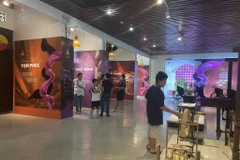 Phát triển công nghiệp văn hóa, VN đã nỗ lực thực hiện Công ước UNESCO