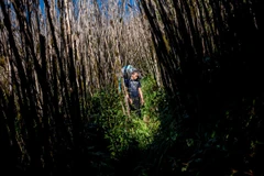 Một tác phẩm của Linh Phạm chụp tại Lào Cai năm 2014. 