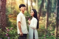 Hợp tác quốc tế để không làm 'rơi' hàng triệu USD do vi phạm bản quyền