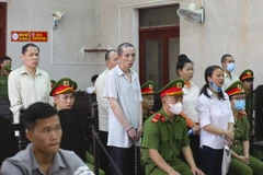 Các bị cáo trong vụ án. (Ảnh: Xuân Tư/TTXVN)