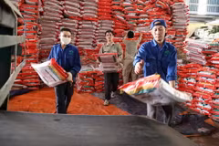 Công nhân Công ty Cổ phần Supe Phốt phát và Hóa chất Lâm Thao vận chuyển sản phẩm lên băng chuyền cấp bán cho khách hàng. (Ảnh: Trung Kiên/TTXVN)
