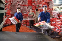 Công nhân Công ty Cổ phần Supe Phốt phát và Hóa chất Lâm Thao vận chuyển sản phẩm lên băng chuyền cấp bán cho khách hàng. (Ảnh: Trung Kiên/TTXVN)