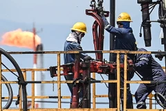 Công nhân làm việc tại nhà máy lọc dầu ở Acacias, phía Nam Bogota, Colombia. (Ảnh: AFP/TTXVN)