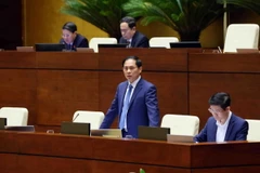 Bộ trưởng Bộ Ngoại giao Bùi Thanh Sơn trả lời chất vấn của đại biểu Quốc hội. (Ảnh: Phạm Kiên/TTXVN)