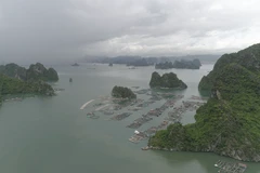 Toàn cảnh làng chài trên vịnh Bái Tử Long. (Ảnh: Lâm Phan/Vietnam+)