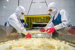 Cận cảnh quy trình chế biến dứa xuất khẩu tại nông trường Đồng Giao