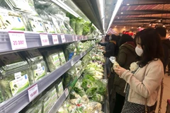 Ảnh minh hoạ (Ảnh: Lâm Phan/Vietnam+) 