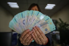 Ảnh minh họa. (Ảnh: Vietnam+)