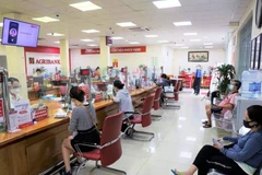 Giao dịch tại ngân hàng Agribank. (Ảnh: CTV/Vietnam+)