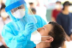 Lấy mẫu xét nghiệm cho người dân Hà Nội. (Ảnh: Thanh Tùng/TTXVN)