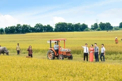 LienVietPostBak ưu tiên cho vay nông nghiệp. (Ảnh: Vietnam+)