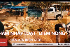 [Video] Thâm nhập loạt 'điểm nóng' buôn bán thú rừng bên kia biên giới
