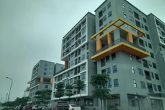 Ảnh minh họa. (Nguồn ảnh: Hùng Võ/Vietnam+)