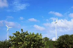 Ảnh minh họa. (Nguồn: Vietnam+)