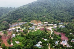 Ảnh minh họa. (Nguồn: Vietnam+)