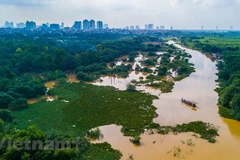 Ảnh minh họa. (Nguồn: PV/Vietnam+)