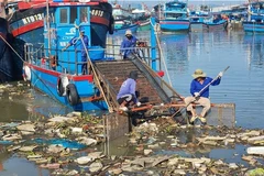 Ảnh minh họa. (Nguồn ảnh: Nguyễn Thành/TTXVN) 