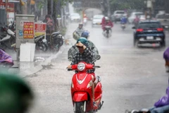 Cơn mưa vàng giải nhiệt sau mấy ngày nắng nóng kỷ lục ở Thủ đô. (Ảnh: Tuấn Đức/TTXVN)