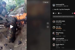 Ảnh chụp từ video trên TikTok. (Ảnh: ENV cung cấp)