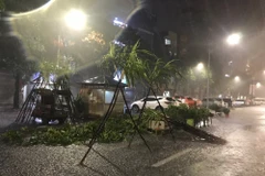 Ảnh minh họa. (Nguồn: PV/Vietnam+)