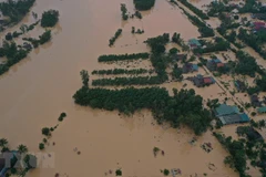 Ảnh minh họa. (Nguồn ảnh: TTXVN)