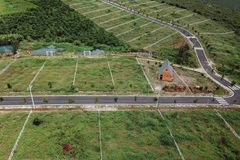 Ảnh minh họa. (Nguồn: TTXVN)