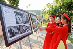 Ban tổ chức đã lựa chọn 245 tác phẩm tiêu biểu để trưng bày tại Hạ Long (Quảng Ninh). (Ảnh: TTXVN)