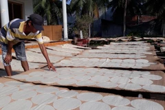 Nghề làm bánh phồng Sơn Đốc và bánh tráng Mỹ Lồng là nghề truyền thống lâu đời của người dân xứ dừa. (Ảnh minh họa: TTXVN)