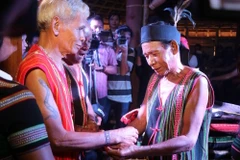 Ảnh chỉ mang tính minh họa. (Nguồn: TTXVN)