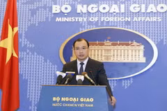 Người Phát ngôn Bộ Ngoại giao Việt Nam Lê Hải Bình. (Ảnh: An Đăng/TTXVN)