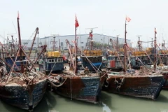 Tàu cá Trung Quốc neo tại cảng Manseok, Incheon sau khi bị Hàn Quốc bắt giữ vì hoạt động trái phép. (Ảnh: Yonhap/TTXVN)