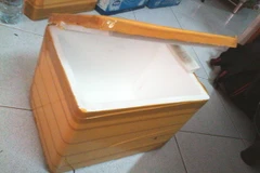 Thùng đá chứa thi thể của bé trai được phát hiện tại khu chung cư Paya Nahu. (Nguồn: AsiaOne)