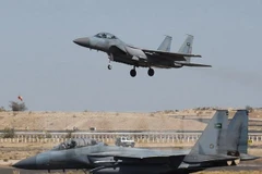 Máy bay tiêm kích F-15 của Nhật Bản. (Nguồn: AFP/TTXVN)