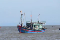 (Ảnh minh họa: Nguyễn Văn Nhật/TTXVN)